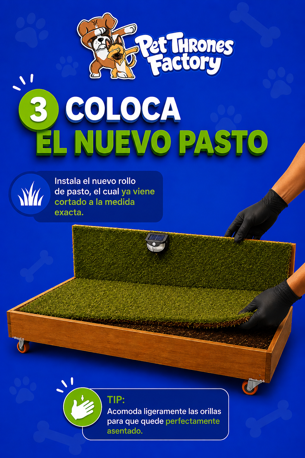Repuesto Pasto Mediano